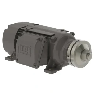 WEG 00336ES3ESA80SL 3HP,3600RPM,80S Frame,SAW-ARBOR (1 EA) - One-stop shop for professional tools and equipment.^ Hand